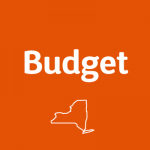 NEW YORK DIVISION OF THE BUDGET